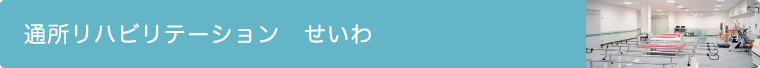 通所リハビリテーション せいわ